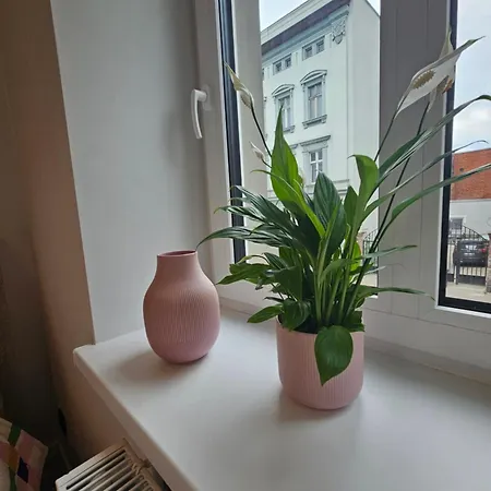 Ottimo Krolowej Jadwigi Apartment *