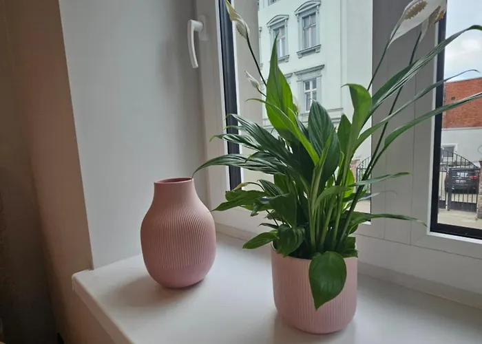 Ottimo Krolowej Jadwigi Апартаменти *